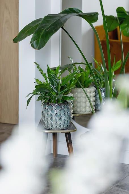 Apartment With Balcony, Private Parking - Bagry Lake - Goszczynskiego 1 Cracovia Esterno foto
